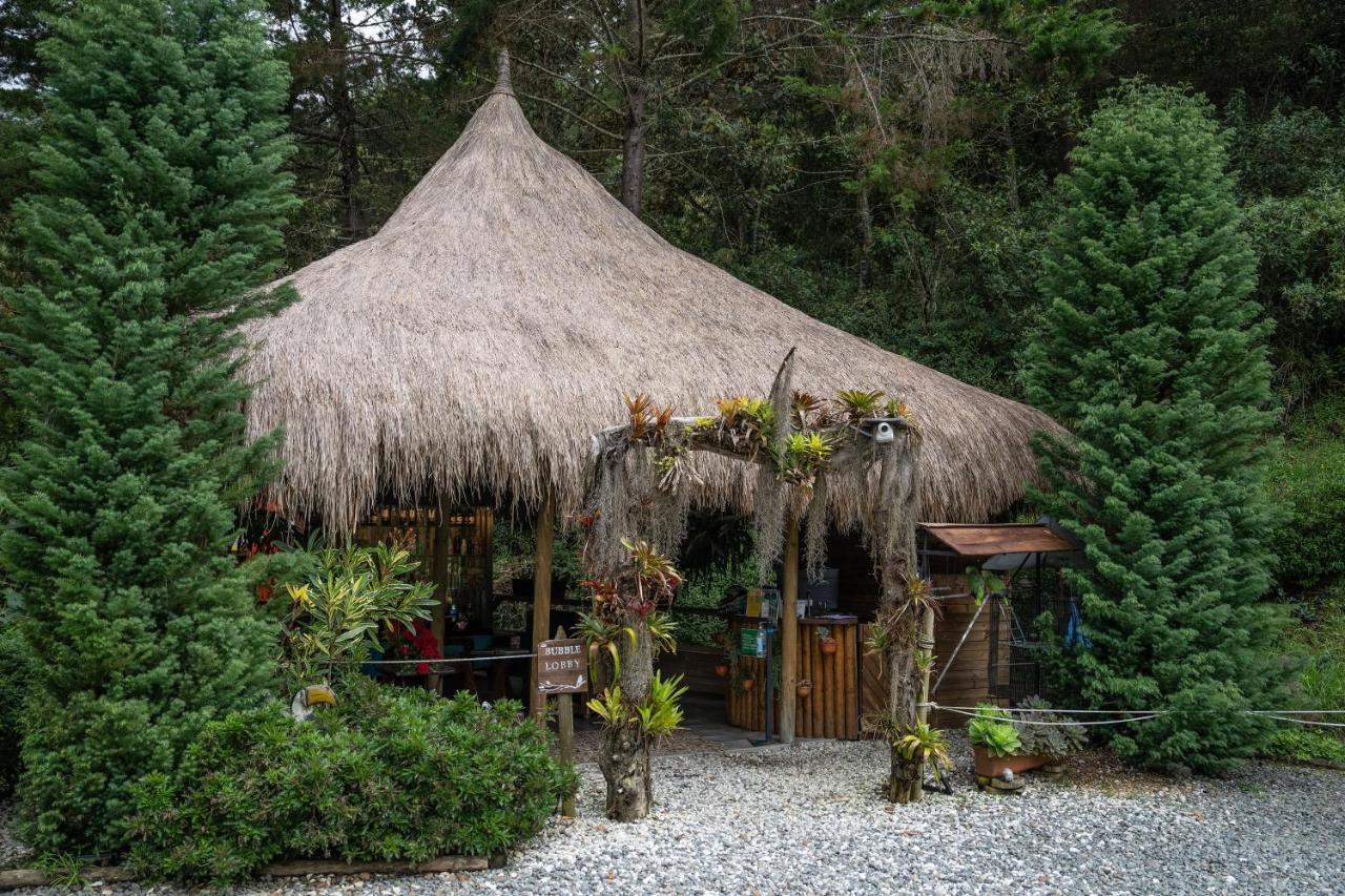 BubbleSky Glamping 40 min from Medellin Hotell El Retiro  Eksteriør bilde