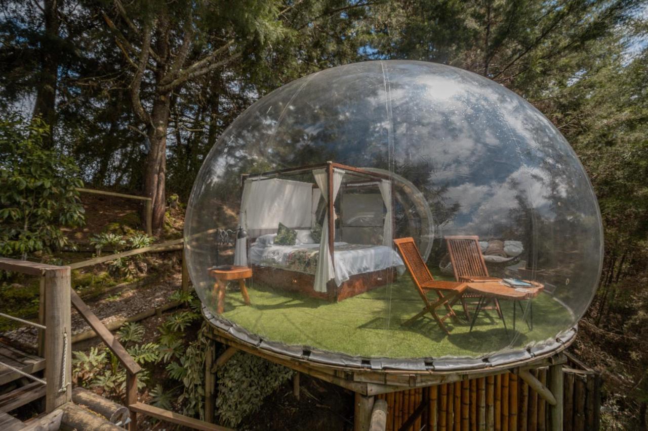 BubbleSky Glamping 40 min from Medellin Hotell El Retiro  Eksteriør bilde