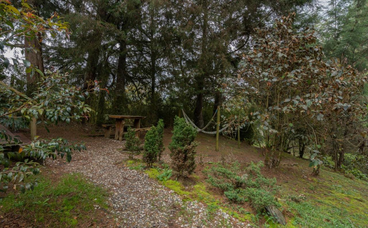BubbleSky Glamping 40 min from Medellin Hotell El Retiro  Eksteriør bilde
