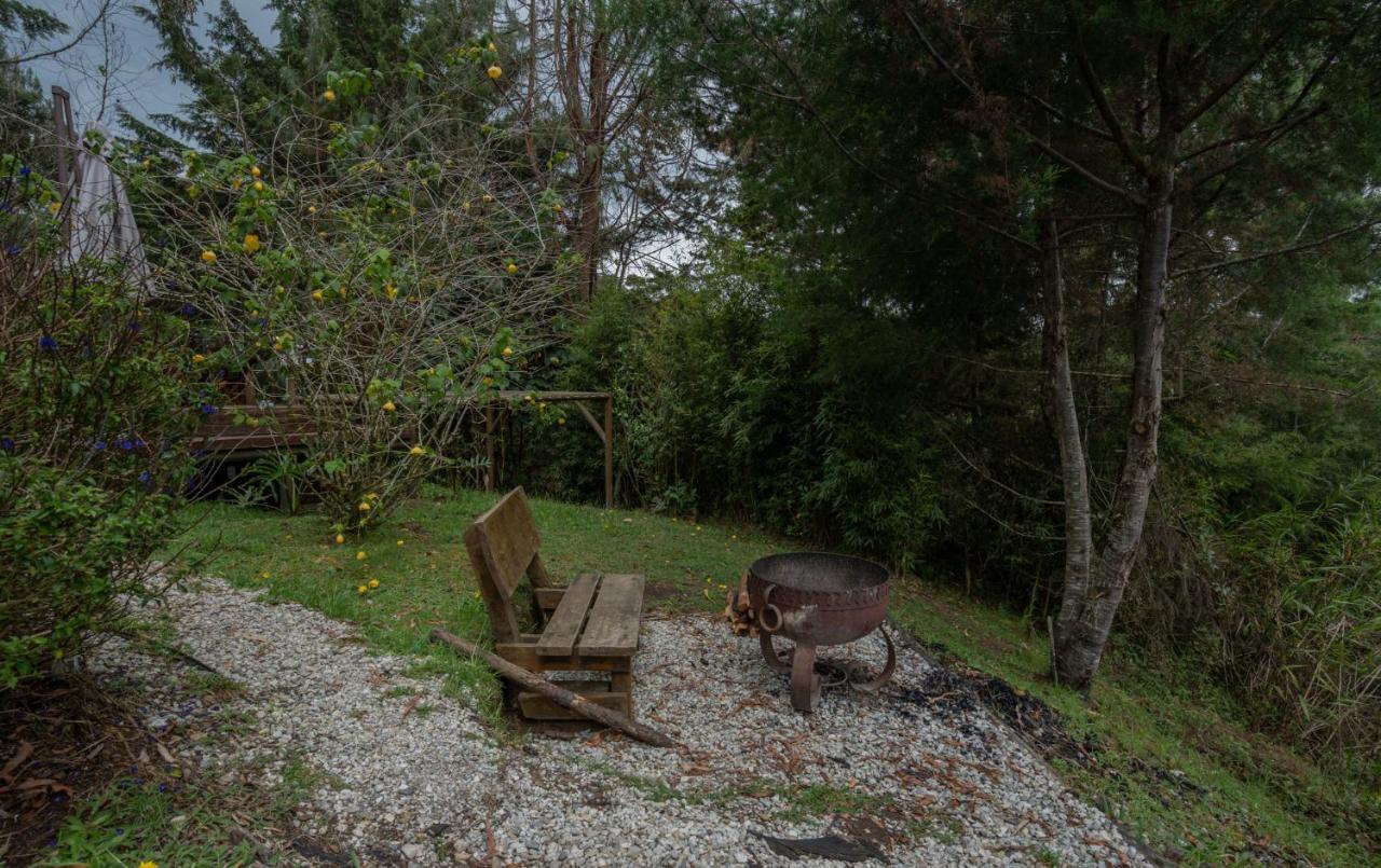 BubbleSky Glamping 40 min from Medellin Hotell El Retiro  Eksteriør bilde