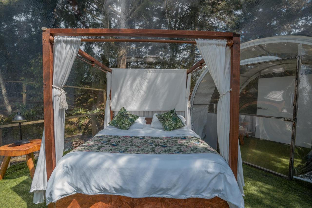 BubbleSky Glamping 40 min from Medellin Hotell El Retiro  Eksteriør bilde