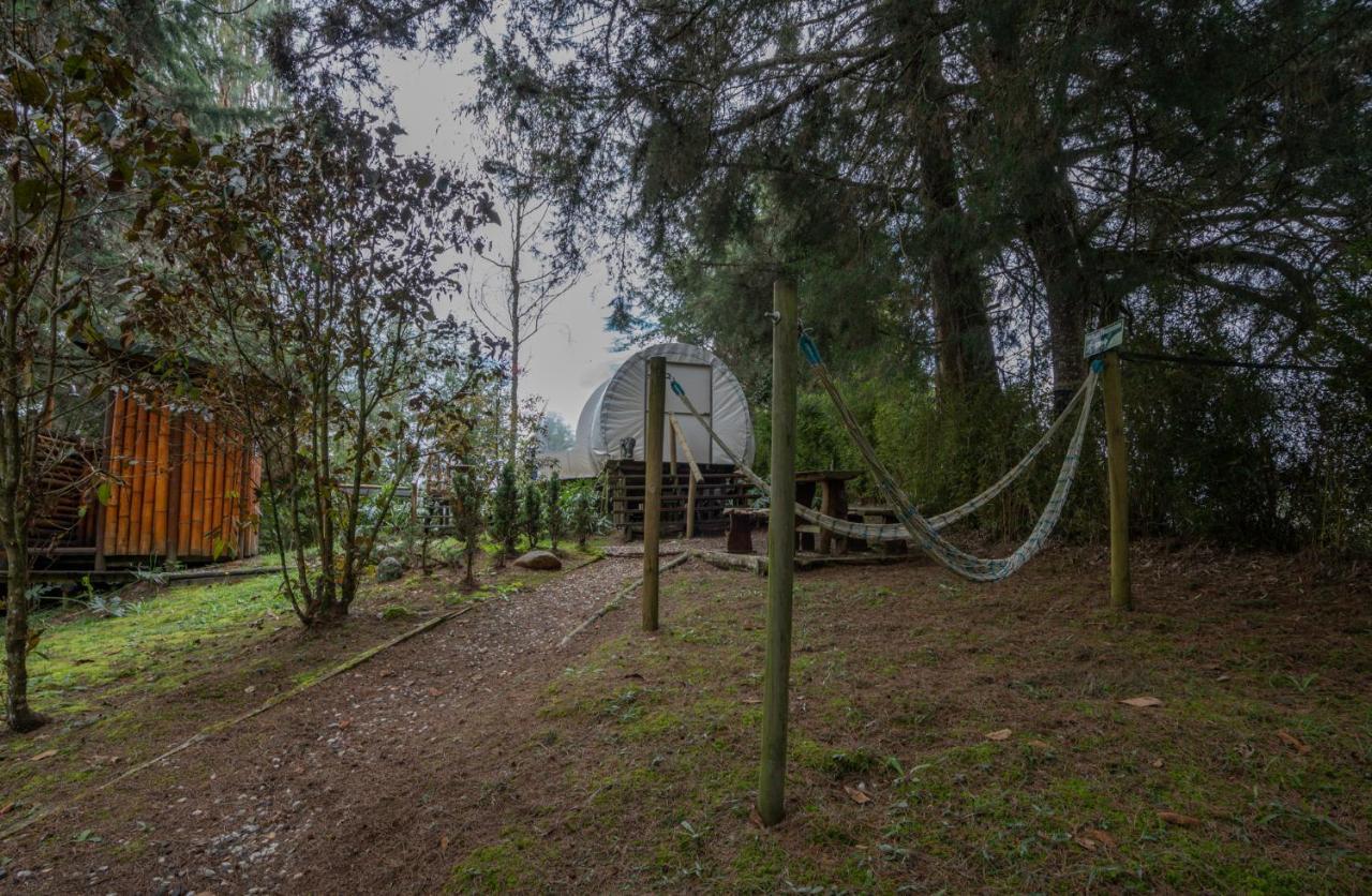 BubbleSky Glamping 40 min from Medellin Hotell El Retiro  Eksteriør bilde